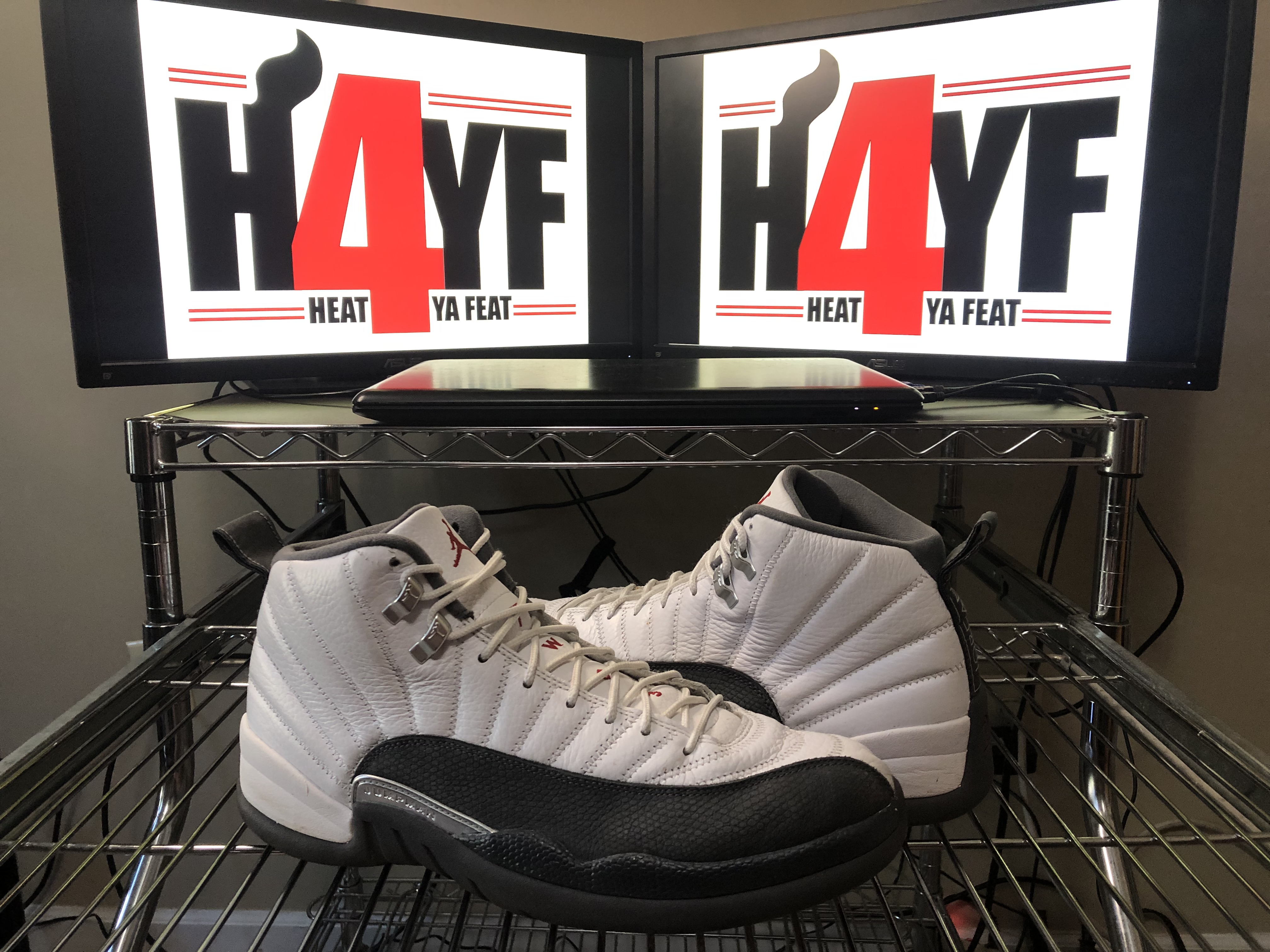 Air Jordan 12 “Flint” Sz 12