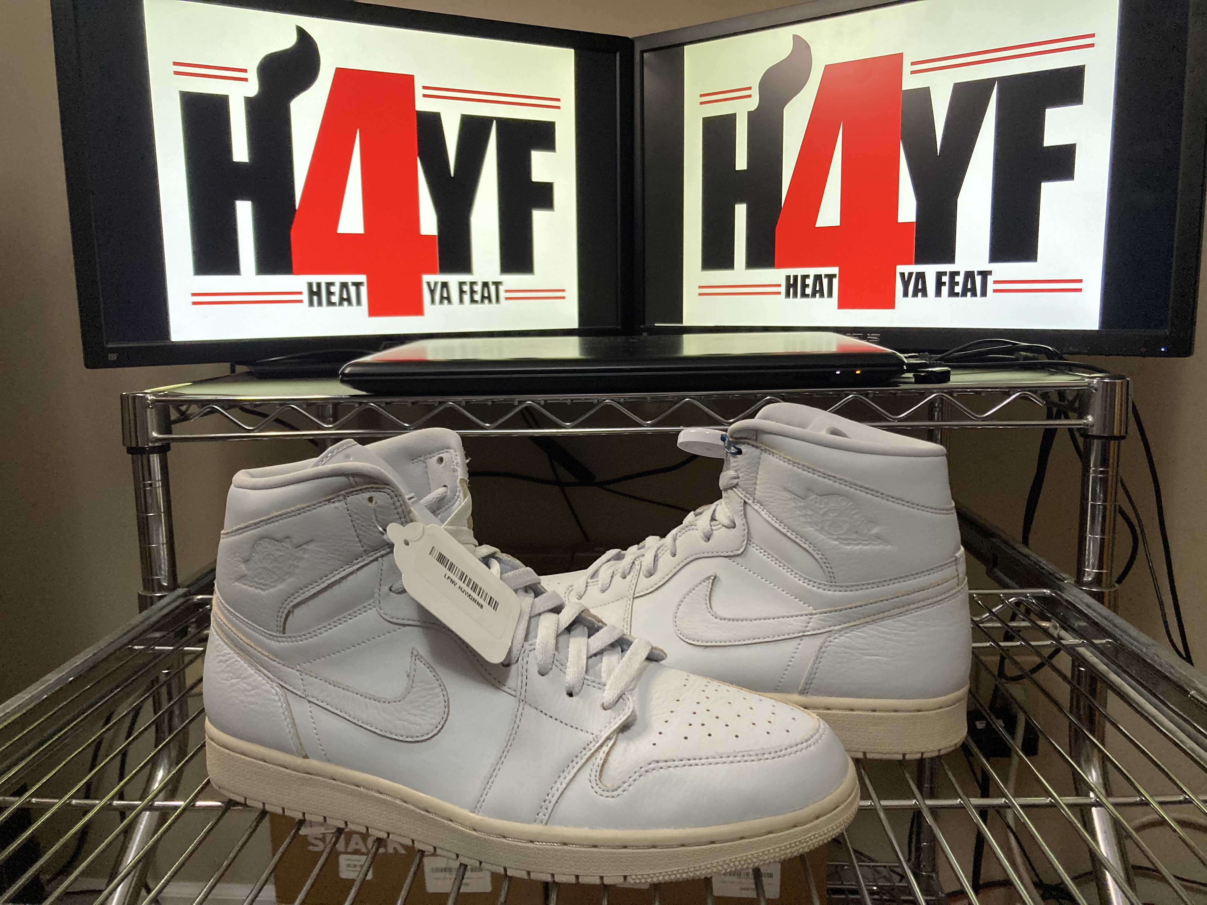 Air Jordan 1 High “Platinum” Sz 12