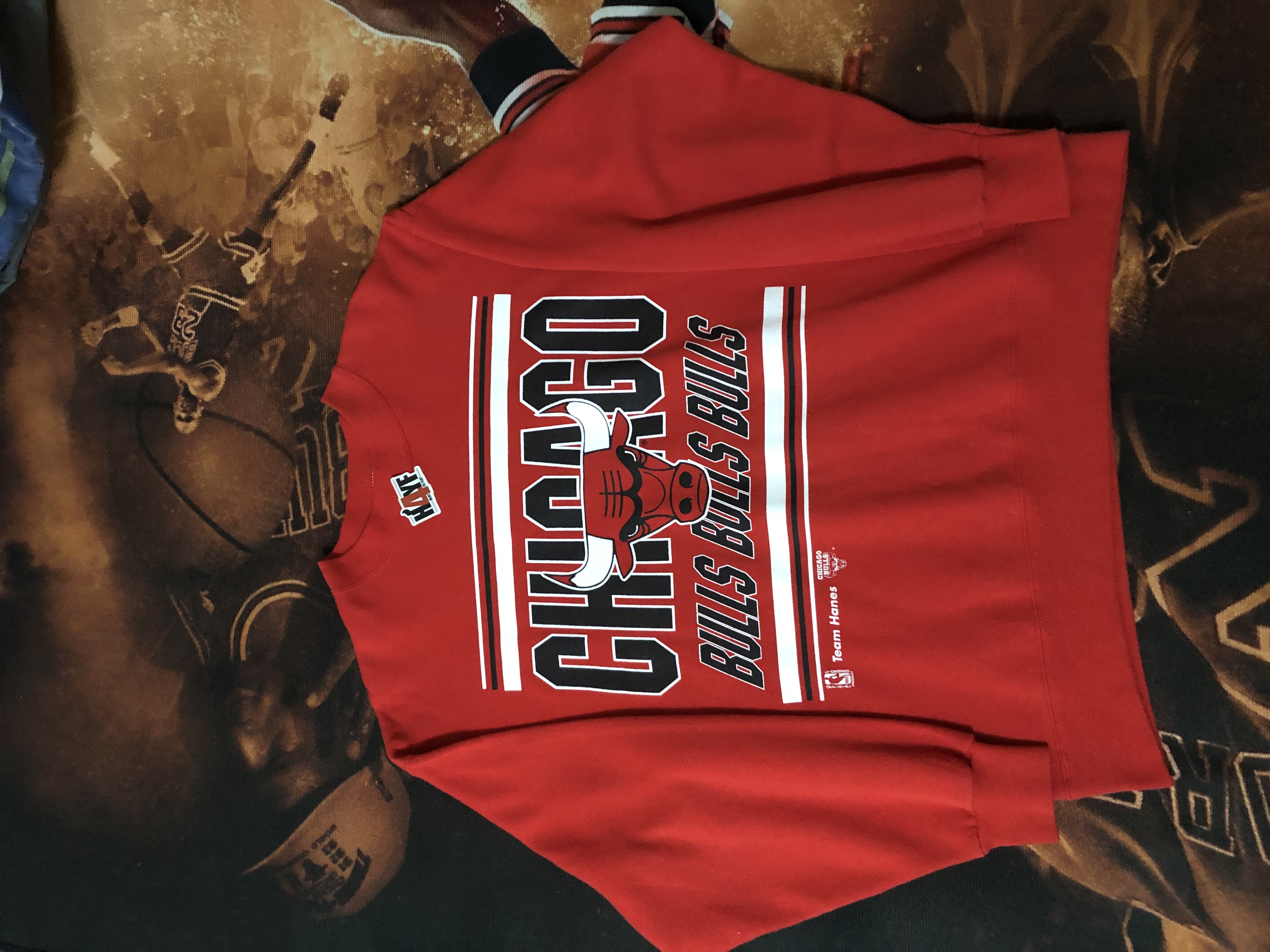 Chicago Bulls Team Hanes Sweatshirt Sz L