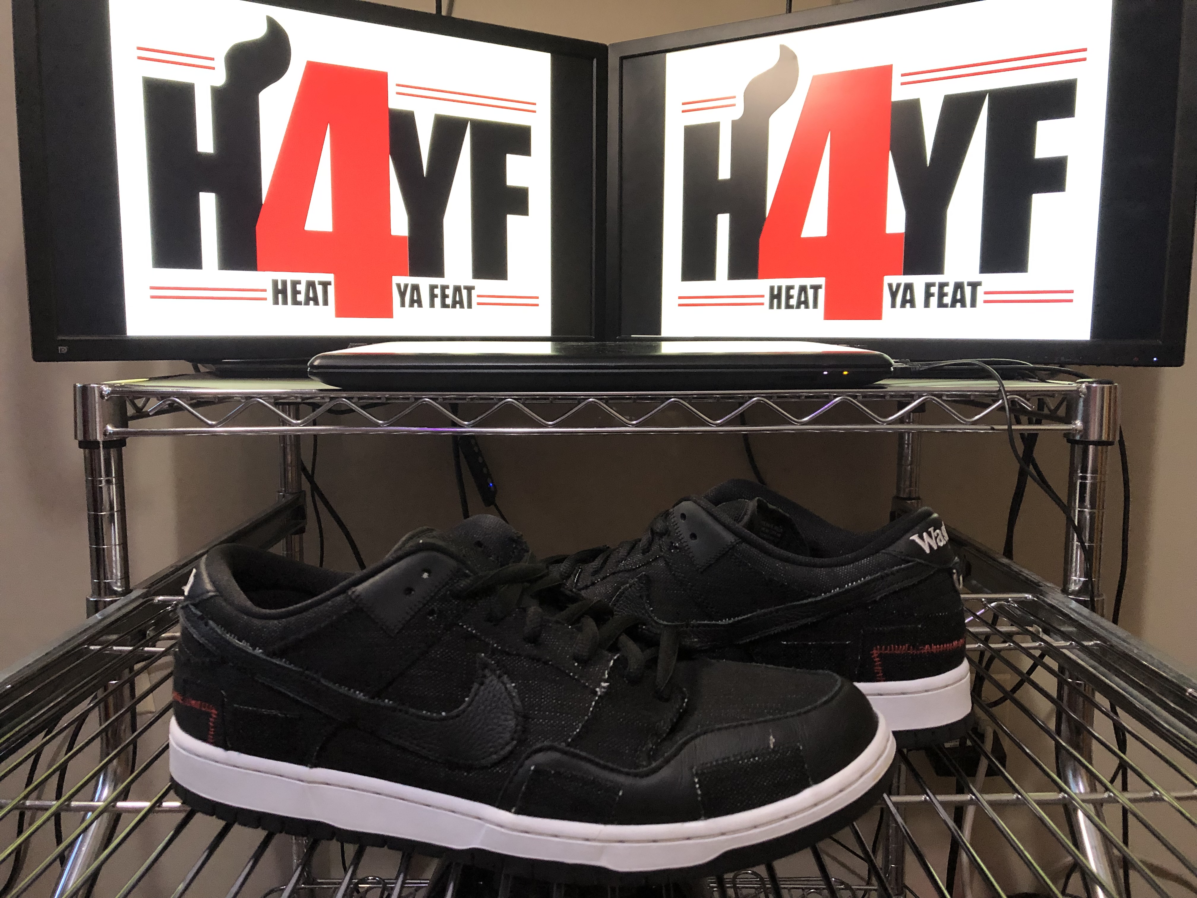 Wasted Youth x Nike SB Dunk Low Sz 12