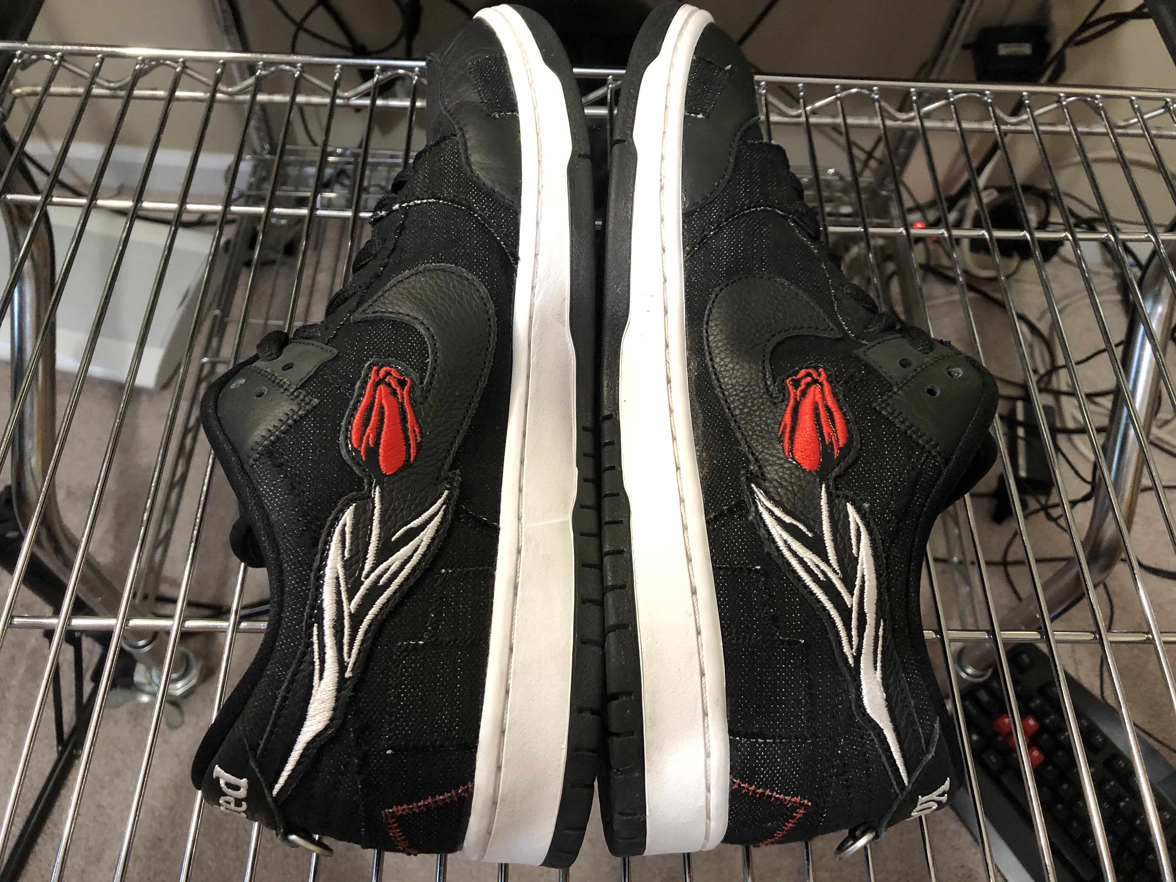 Wasted Youth x Nike SB Dunk Low Sz 12