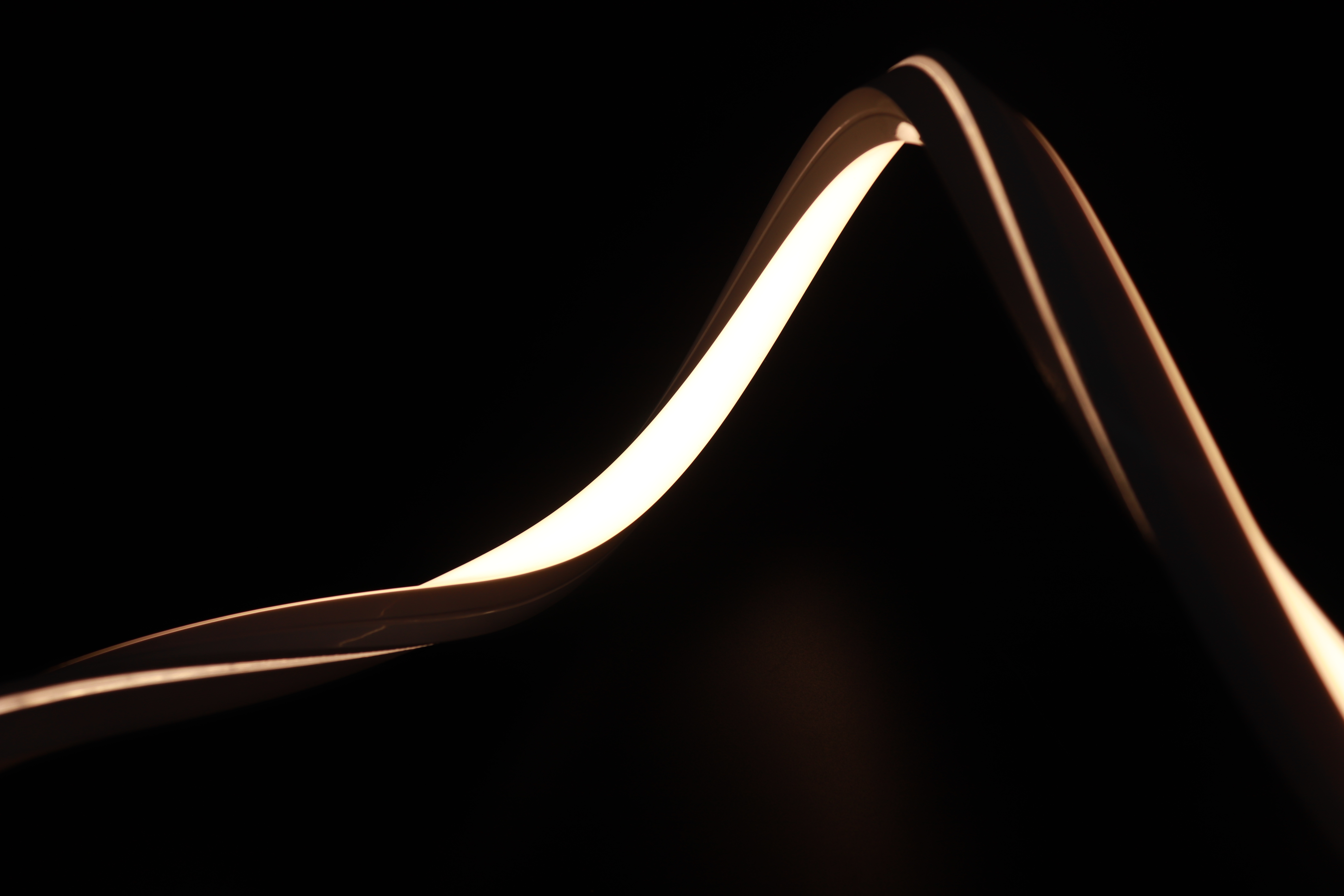 3D NEON 1617