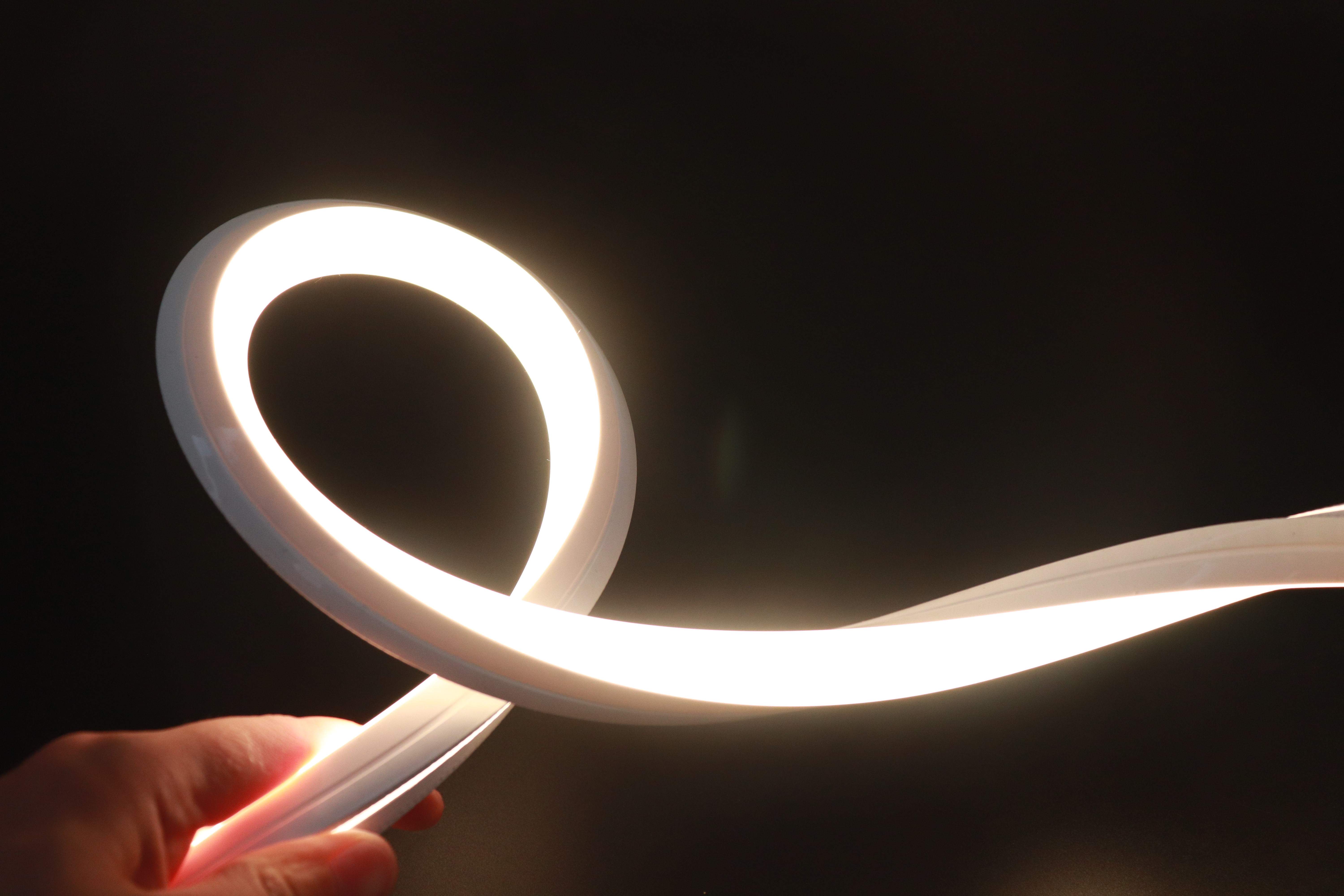 3D NEON 1615