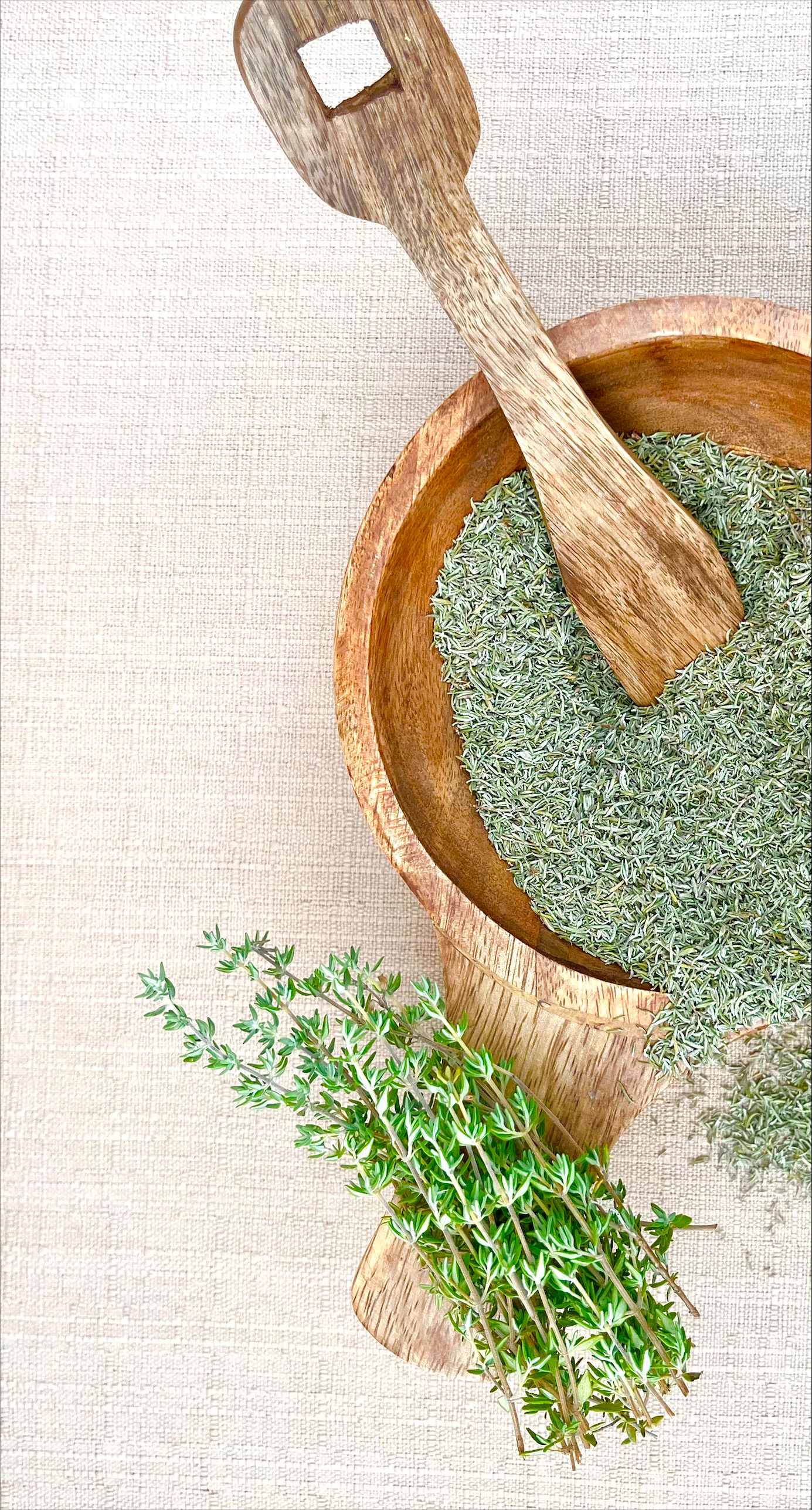 Thym Sauvage de Provence