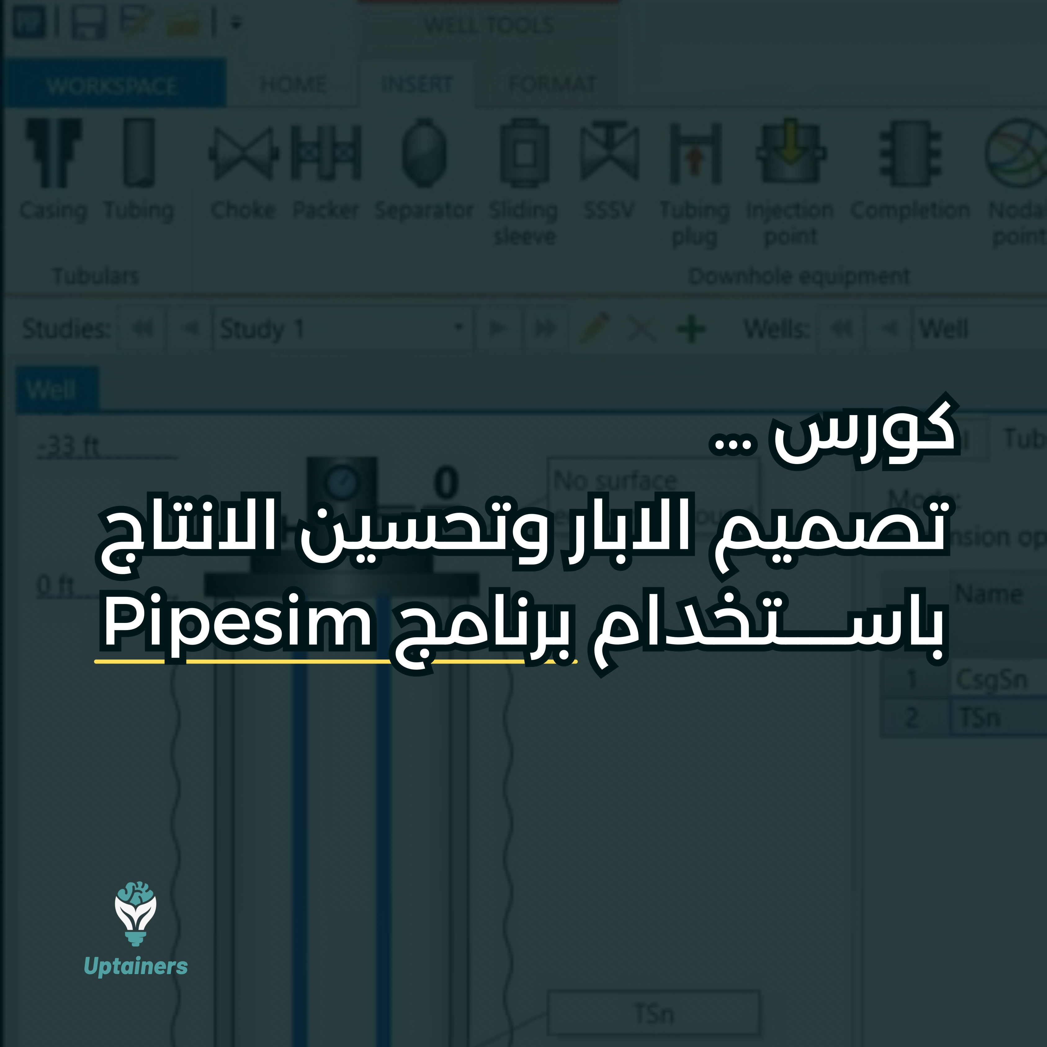 Well Design and Production Optimization Using PIPESIM