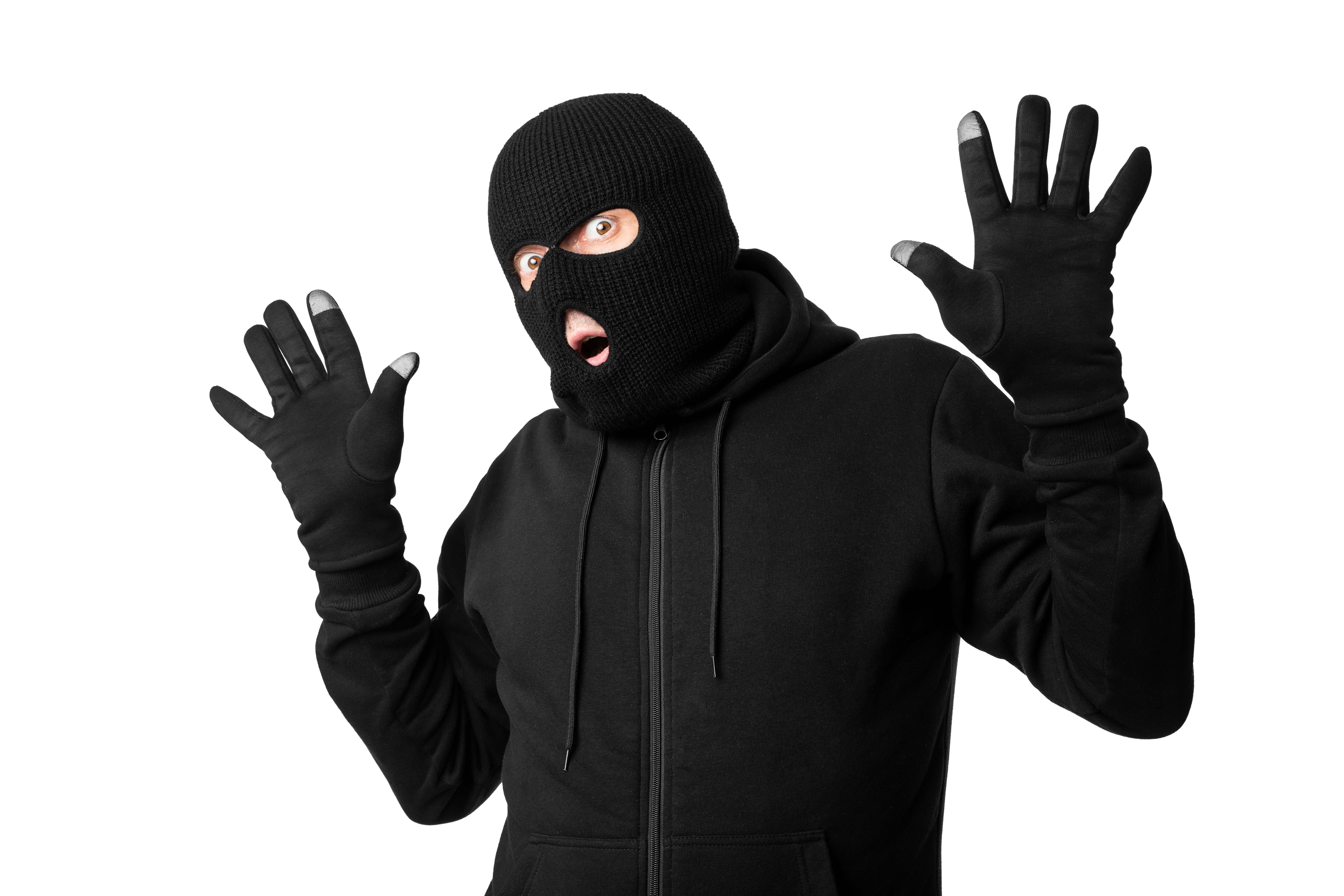 Multiple Criminal Background 