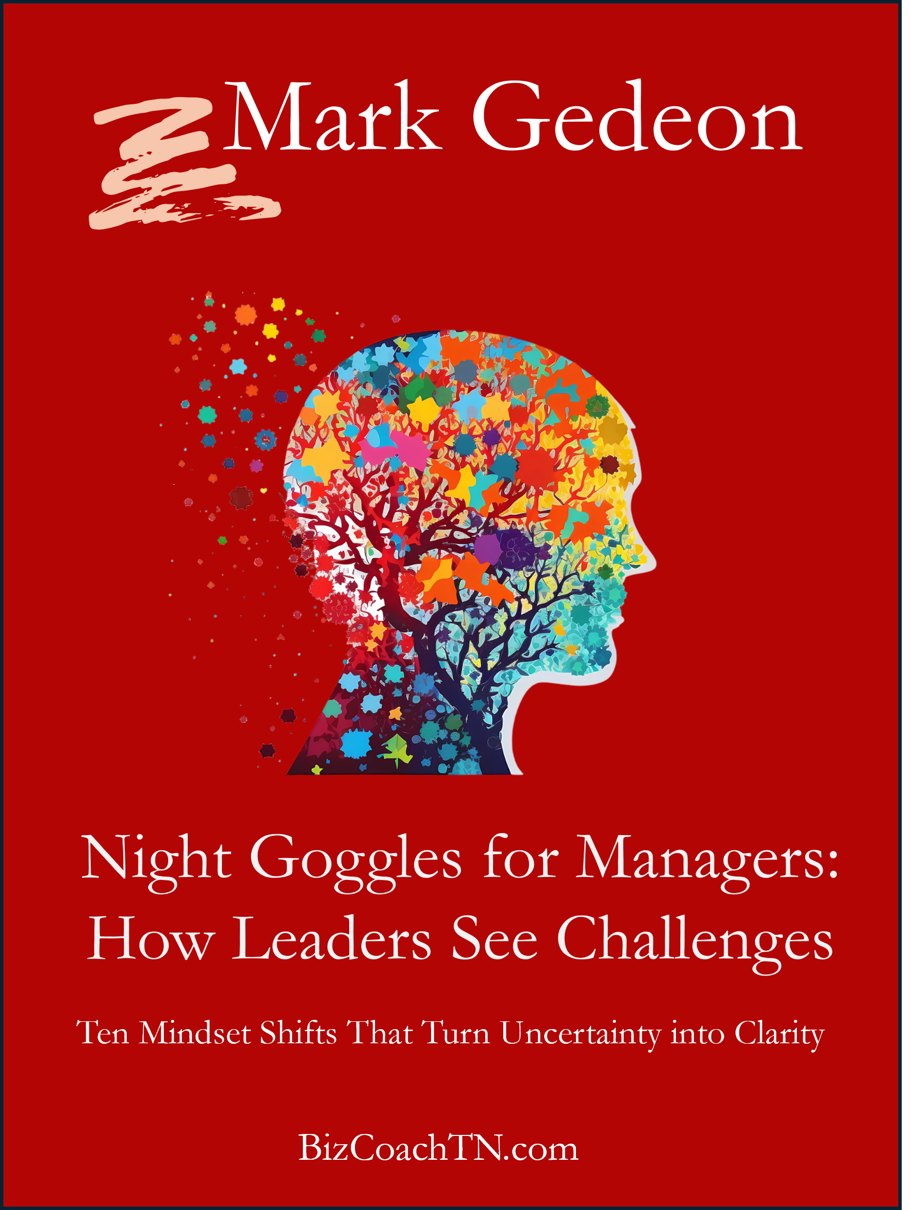 Night Goggles for Managers: How Leaders See Challenges