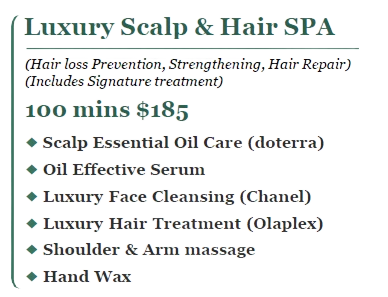 Luxury Scalp & Hair SPA
