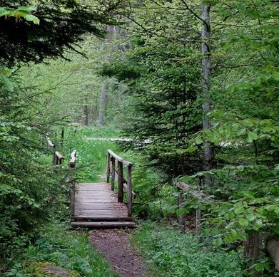 Tisseurs de liens 01-Jul-2025