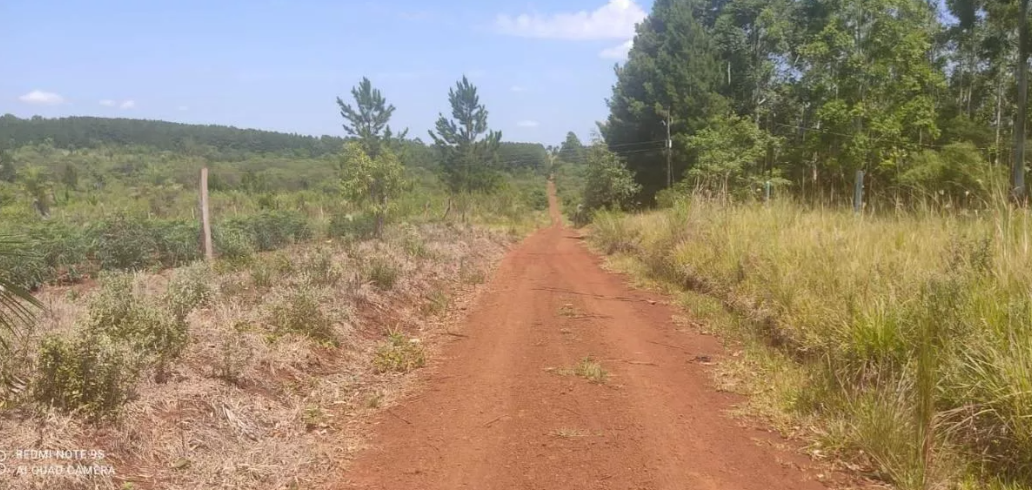Chacra En Misiones