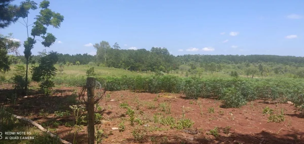 Chacra En Misiones