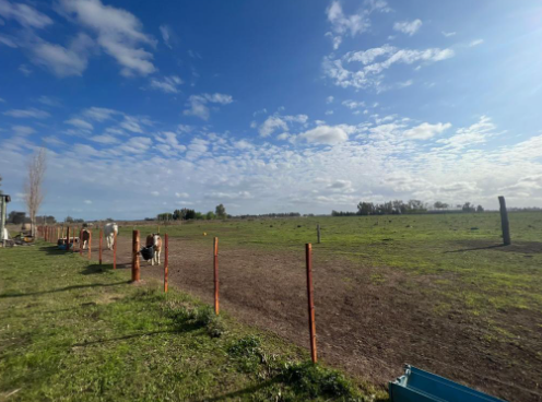 Cabaña con 2 hectáreas en venta San Miguel Del Monte