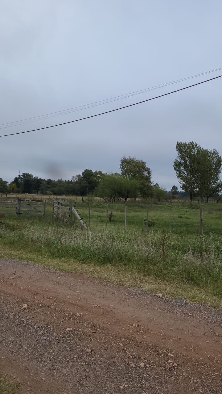 Lote en Uribelarrea.