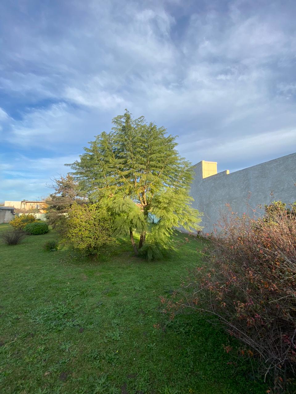 Lote en Cañuelas. (AV. del Carmen)