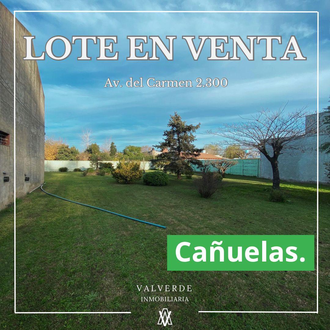 Lote en Cañuelas. (AV. del Carmen)