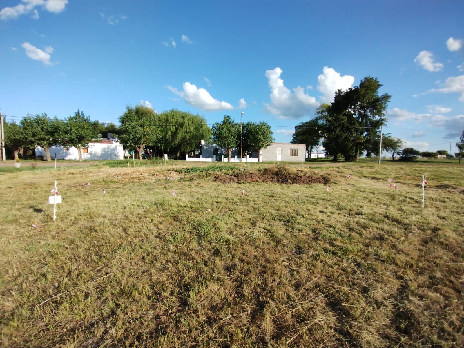 Lote en Hale. Buenos Aires