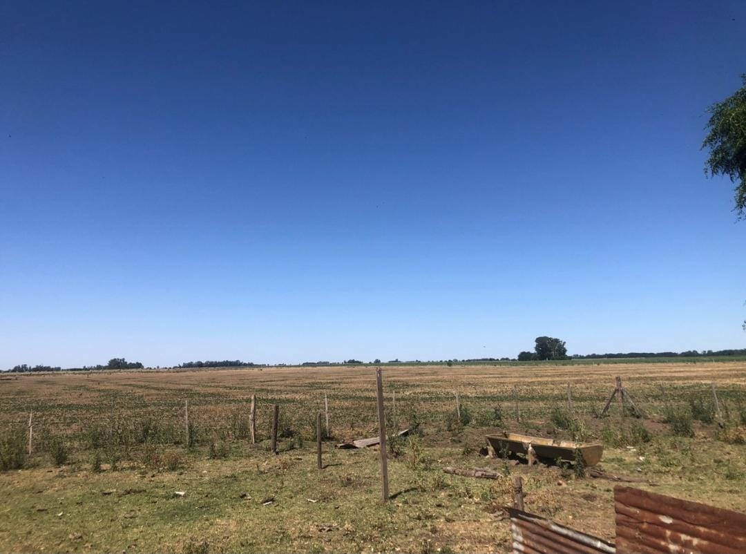 Venta De 150 Hectáreas