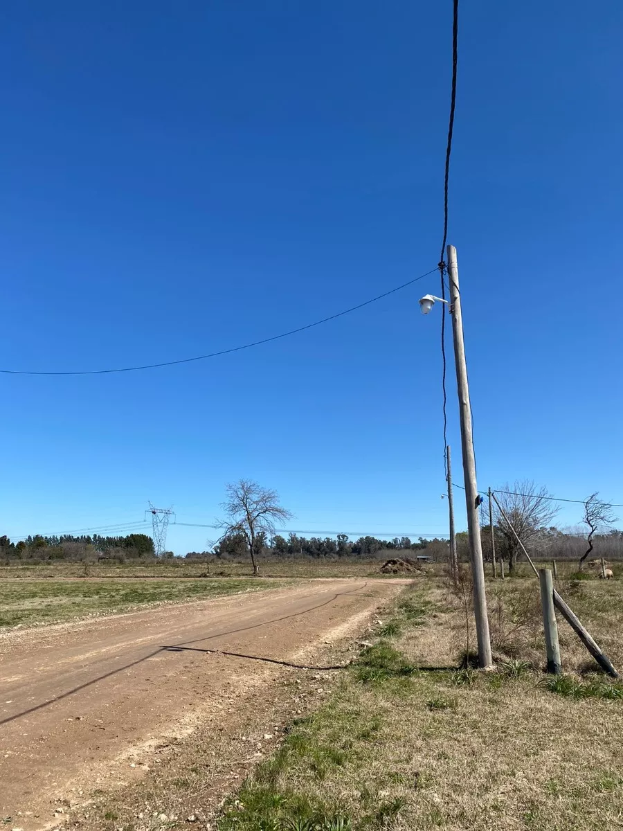 Lote Santa Anita