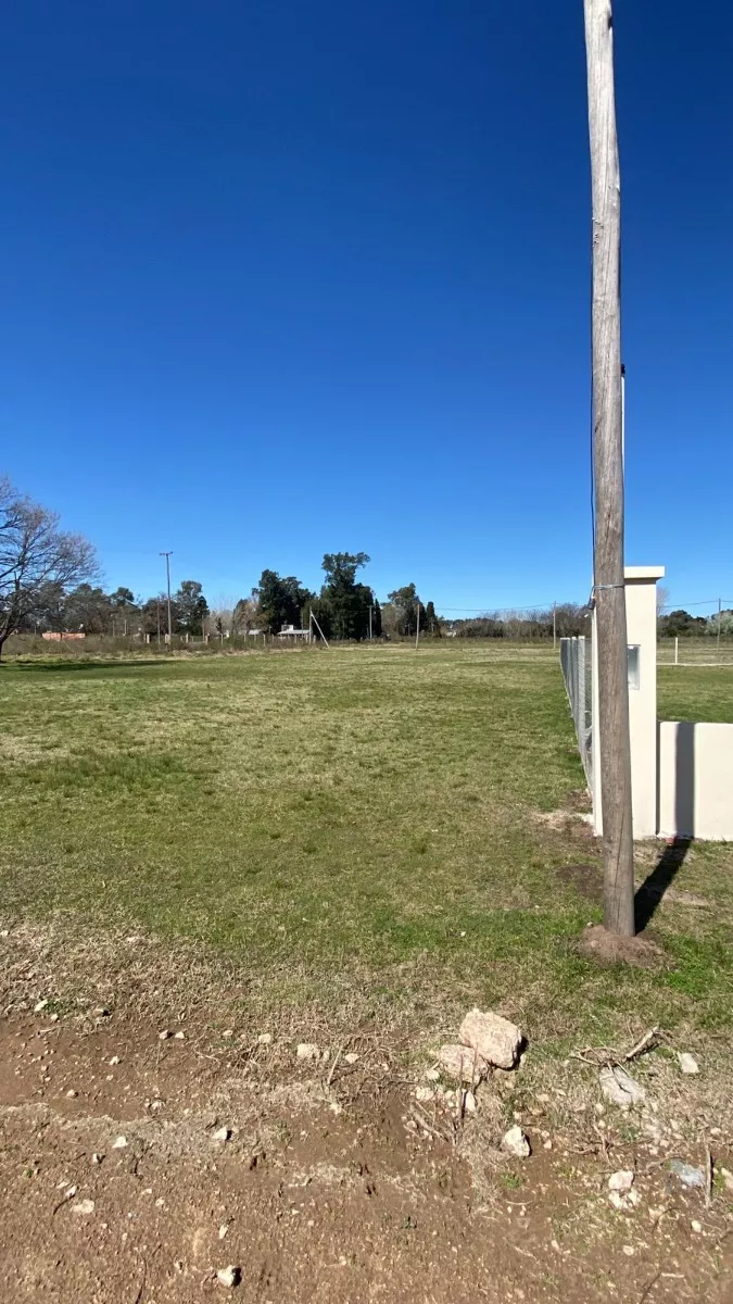Lote Santa Anita