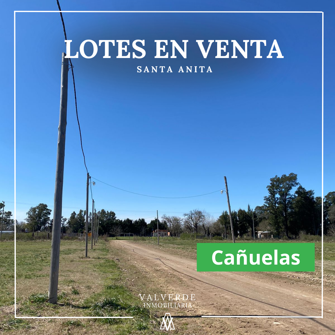 Lote Santa Anita