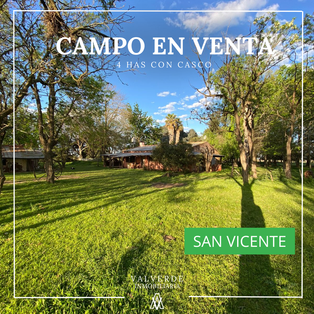 4 hectareas en San Vicente