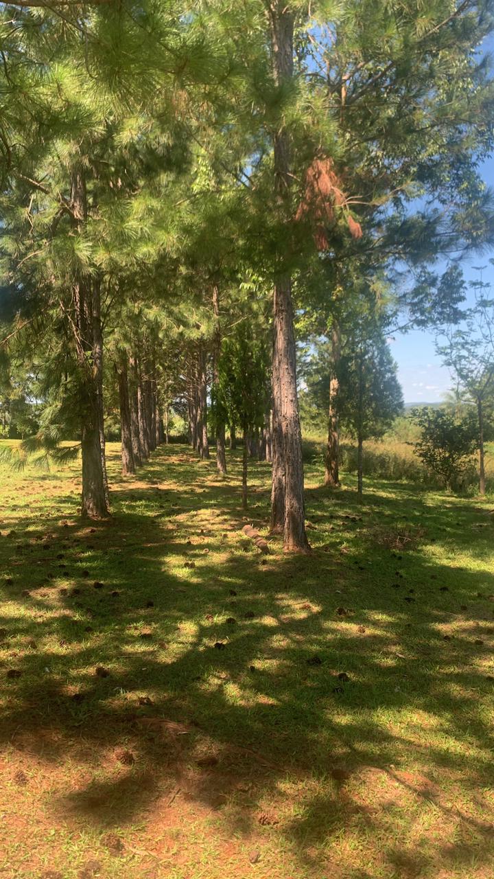 Chacra En Misiones