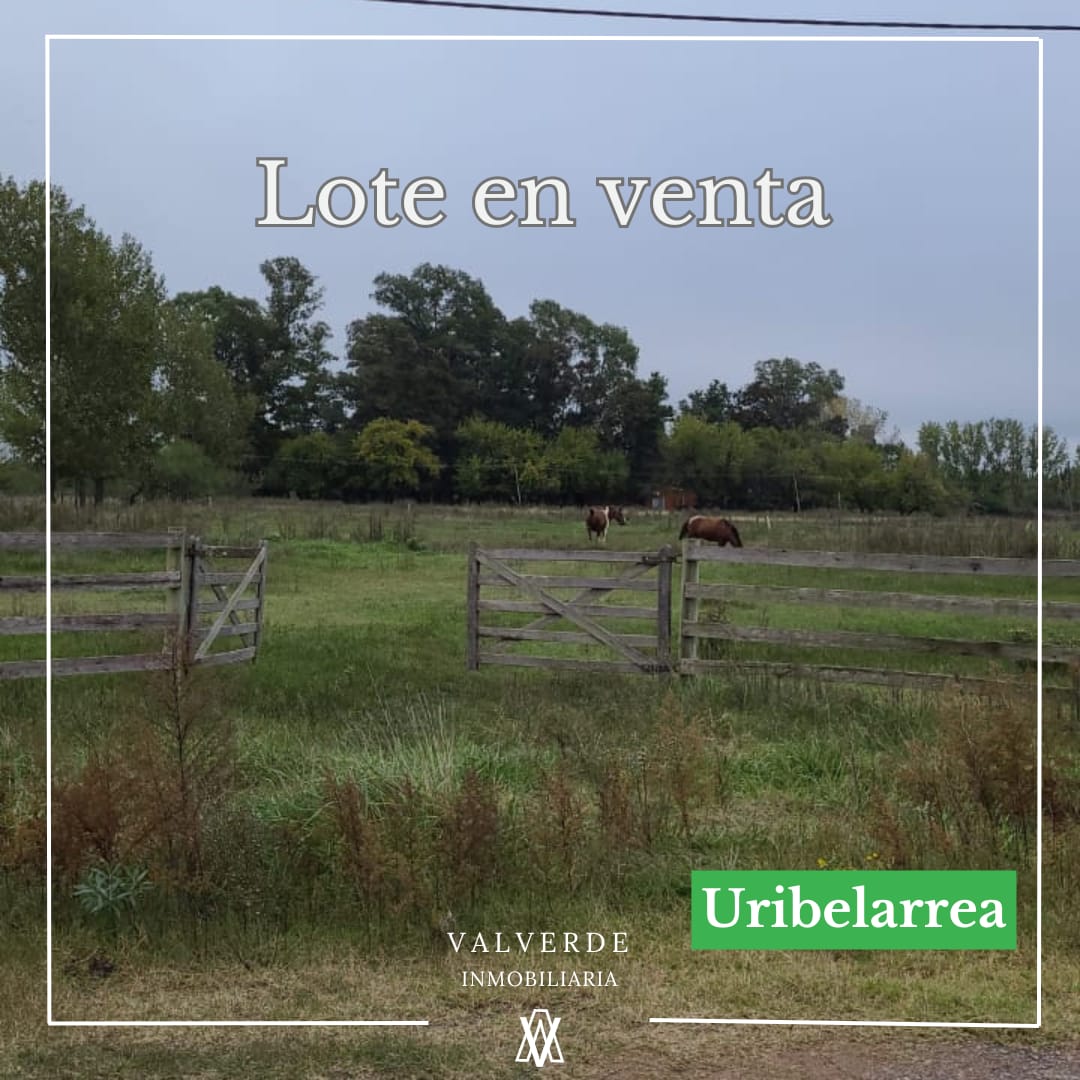 Lote en Uribelarrea.