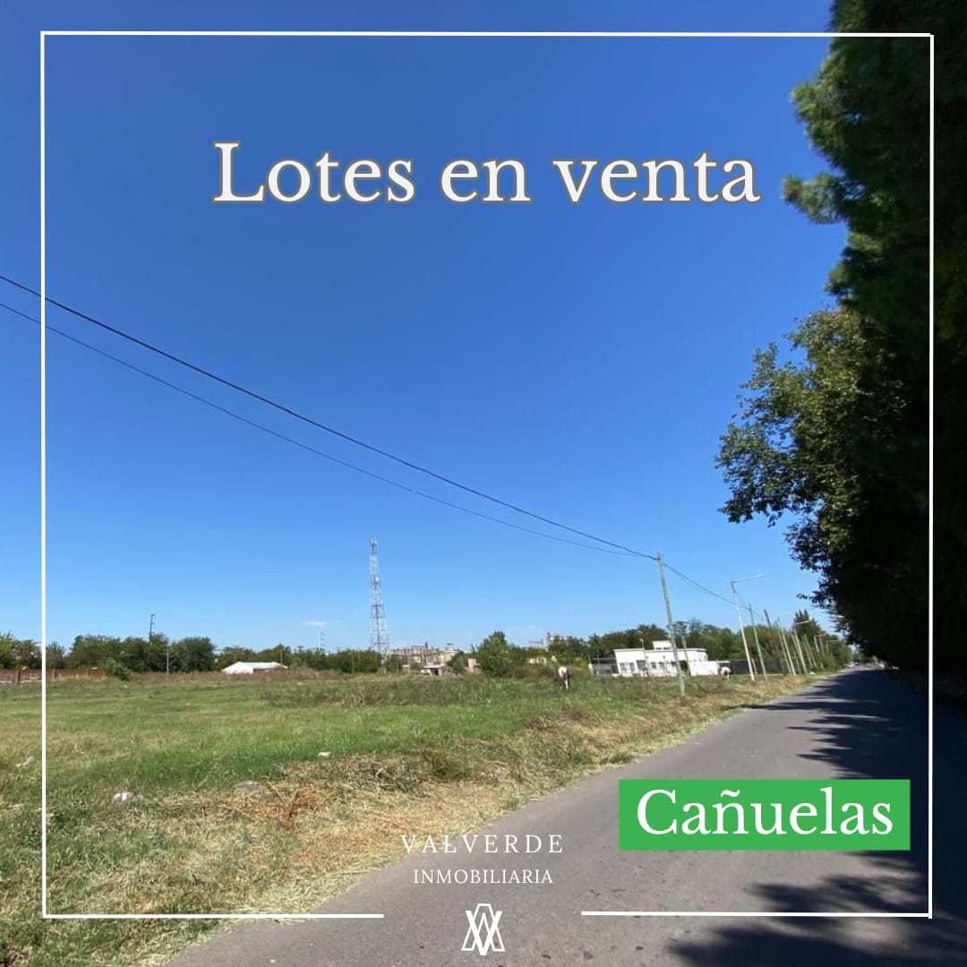 Lotes En Cañuelas (calle Sarmiento)