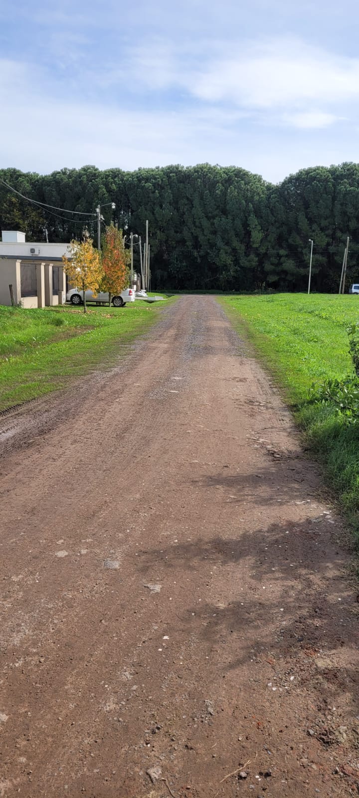 Lotes En Cañuelas (calle Sarmiento)