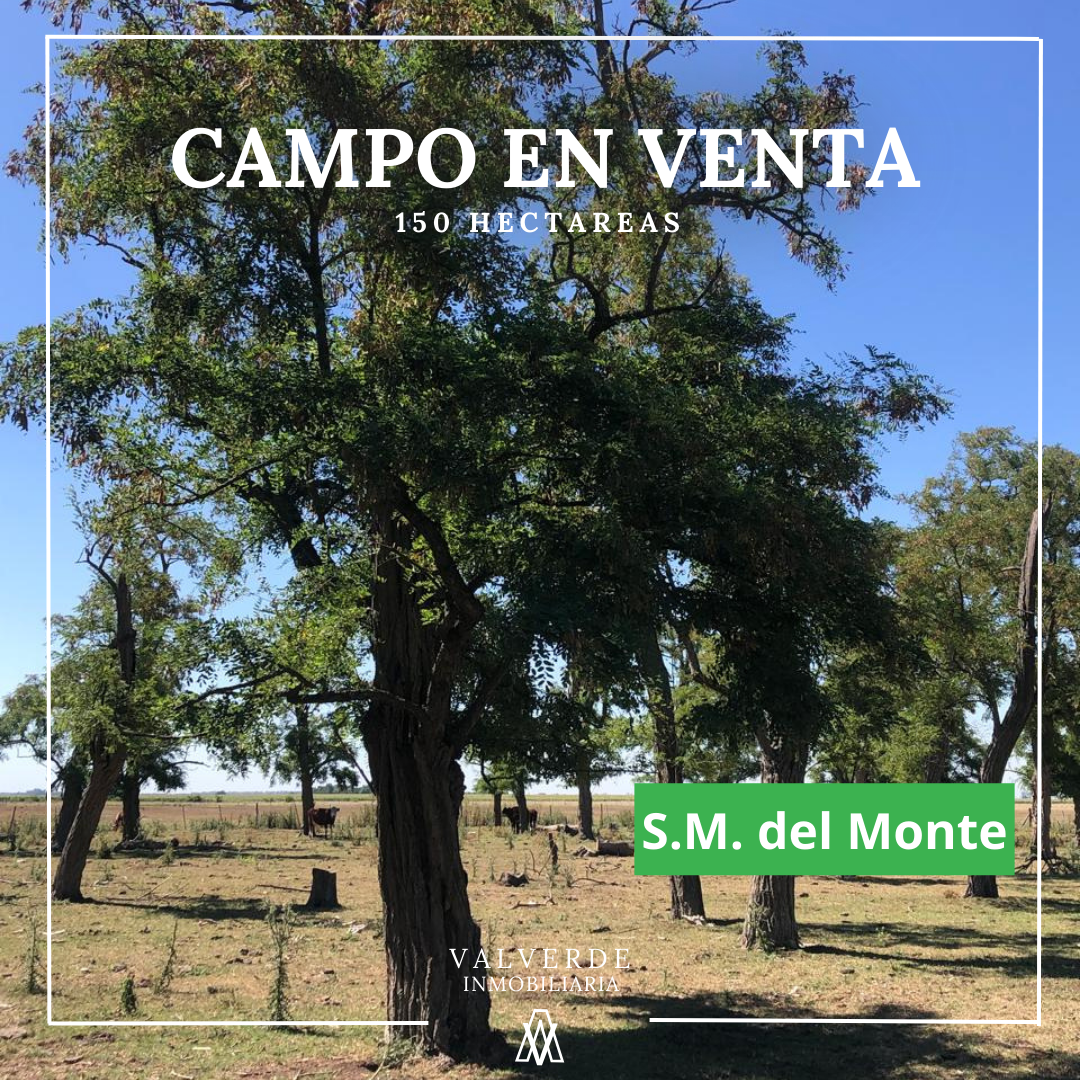 Venta De 150 Hectáreas