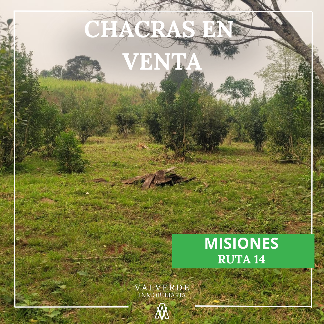Chacras en Ruta 14