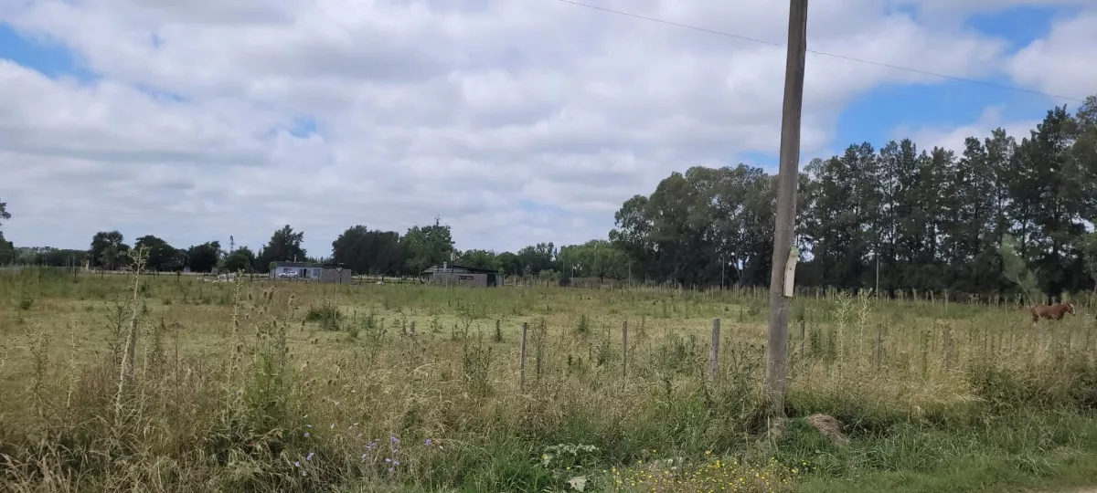 Terreno en Santa Anita 