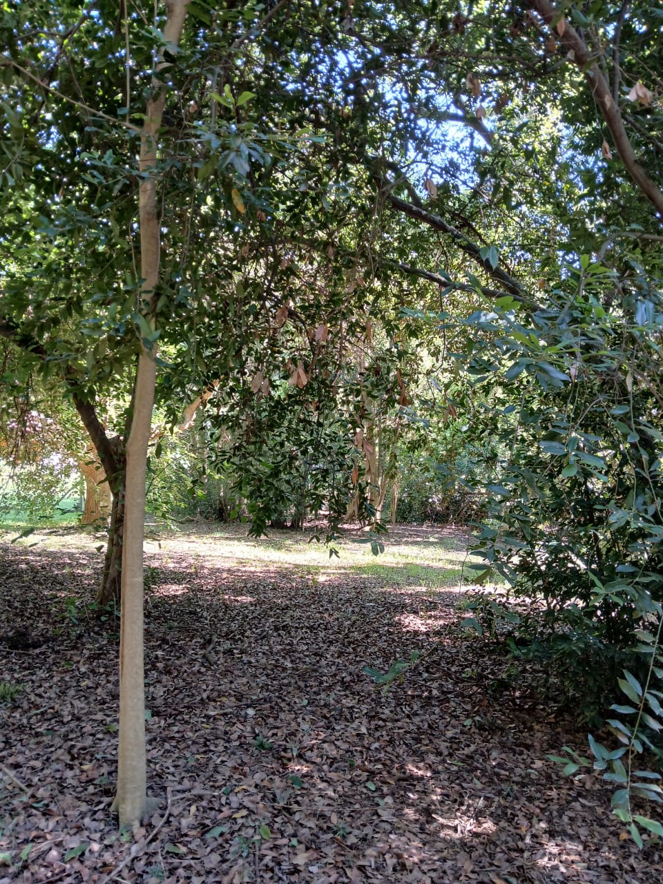 Lotes en Santa Rosa Cañuelas 
