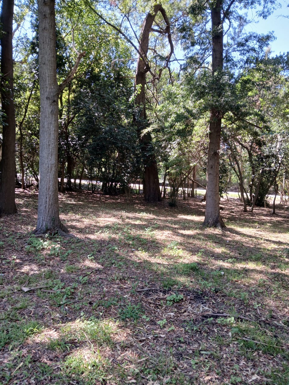 Lotes en Santa Rosa Cañuelas 