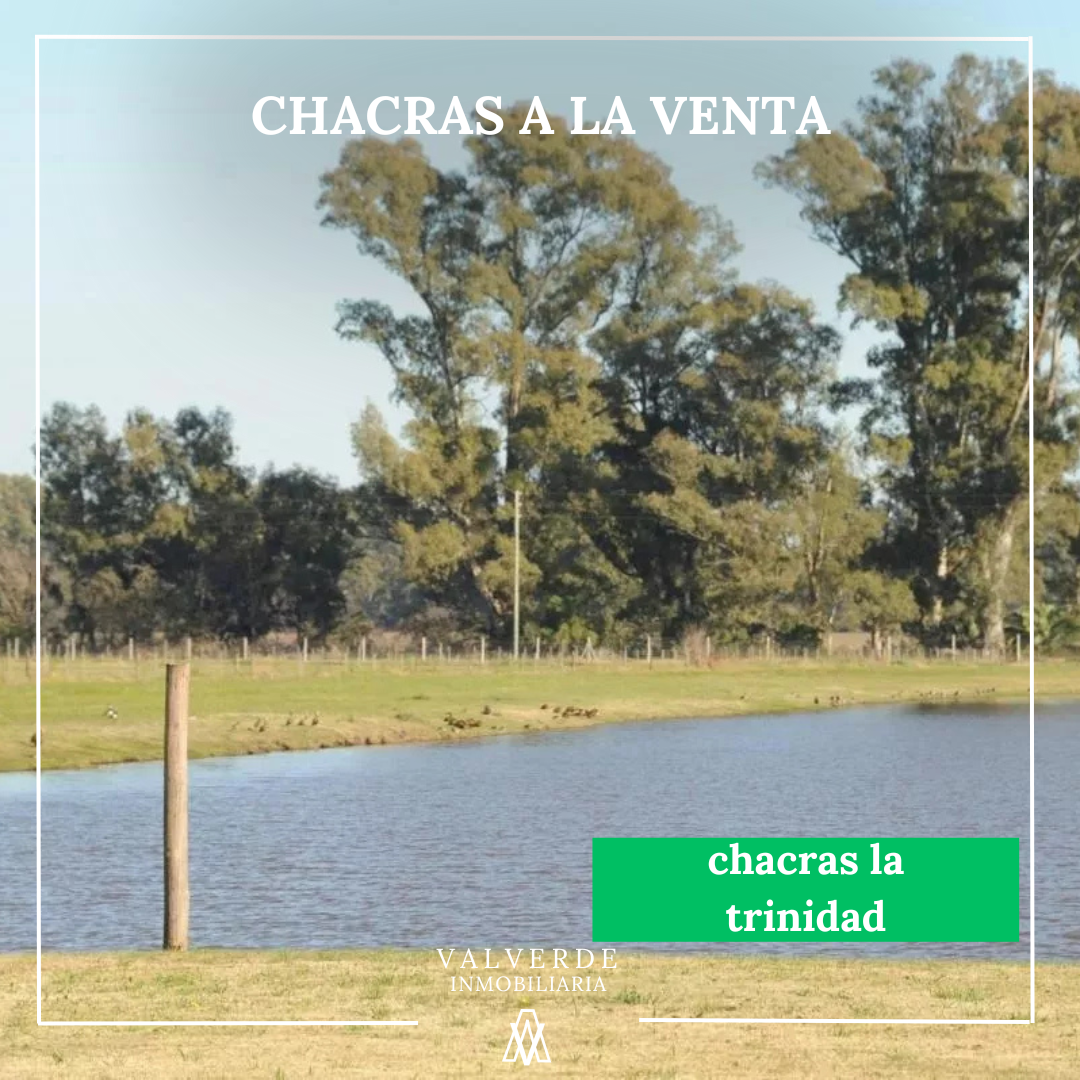 Chacras a la Venta