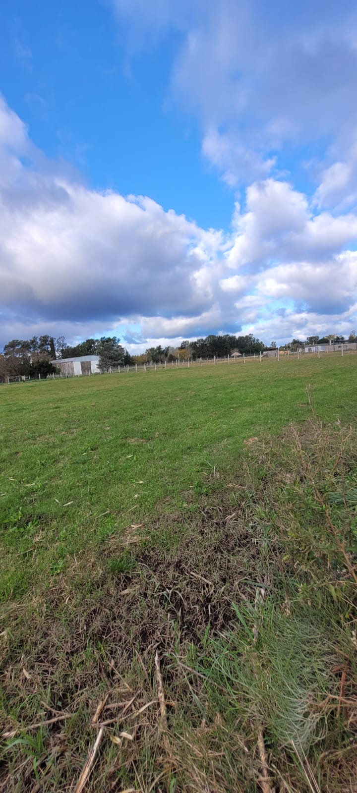 lote en Santa Anita