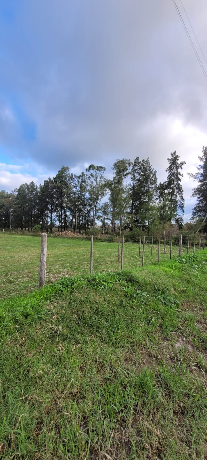 lote en Santa Anita