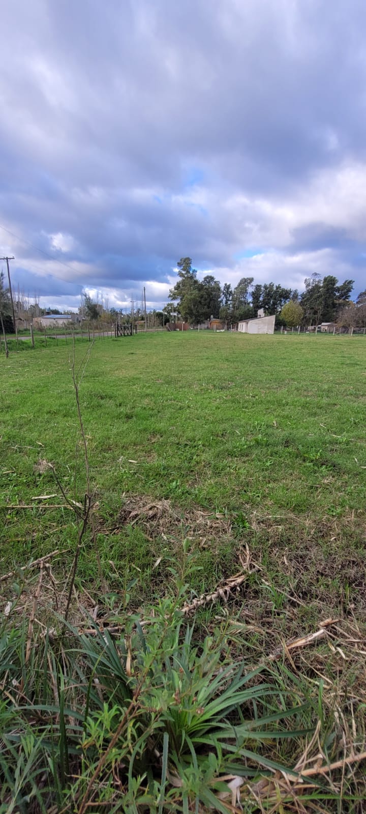 lote en Santa Anita