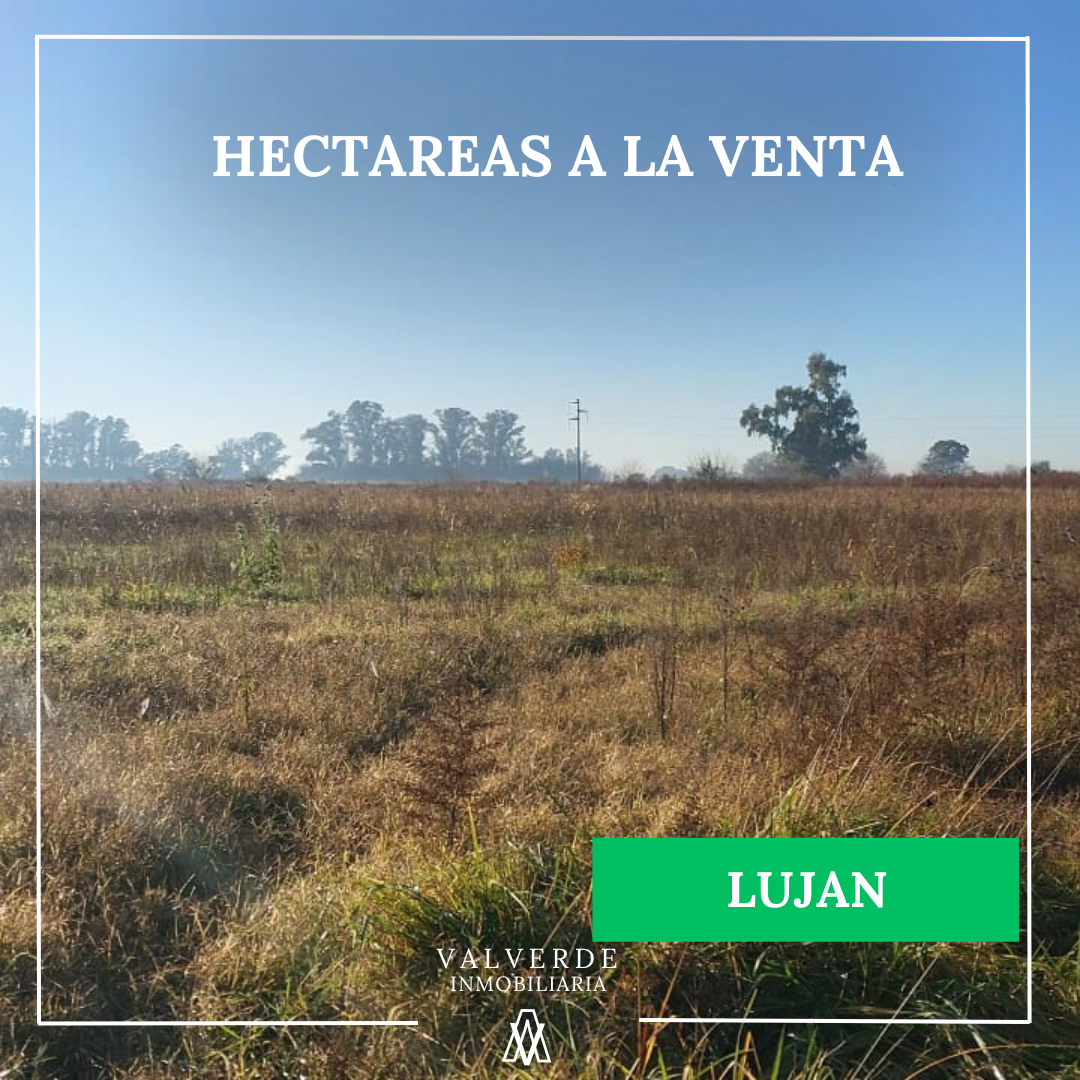 Hectáreas a la venta