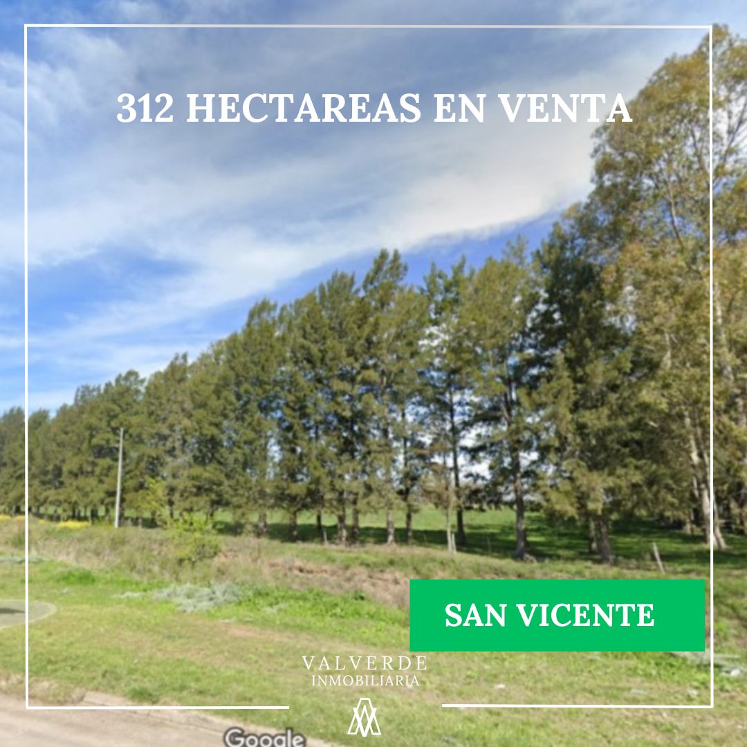312 hectareas en San Vicente
