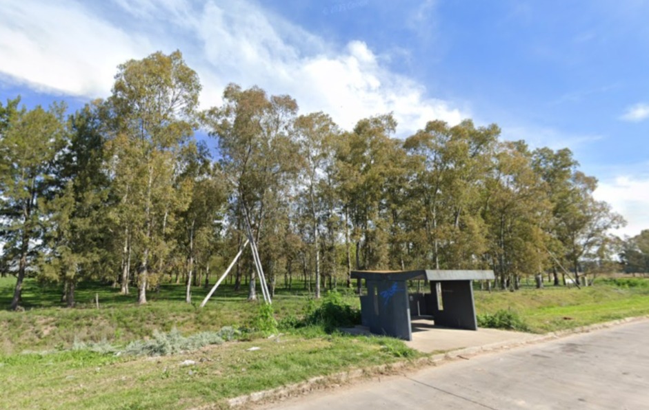 312 hectareas en San Vicente
