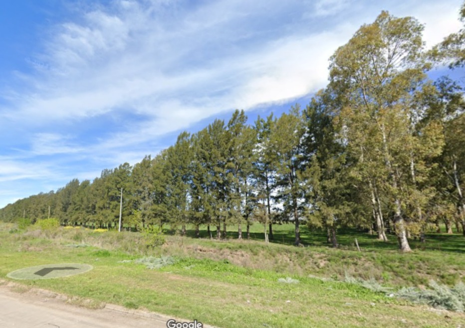 312 hectareas en San Vicente