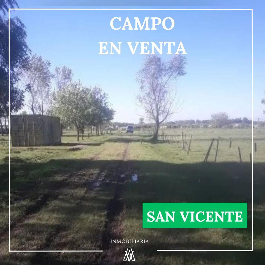 Campo en San Vicente 6 has