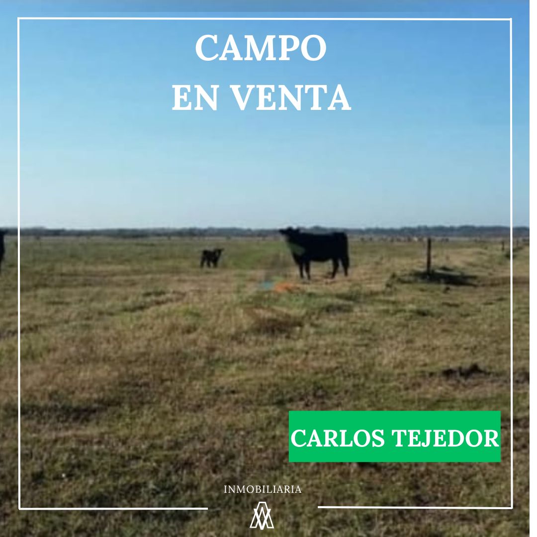 Campo en Carlo Tejedor 936 has