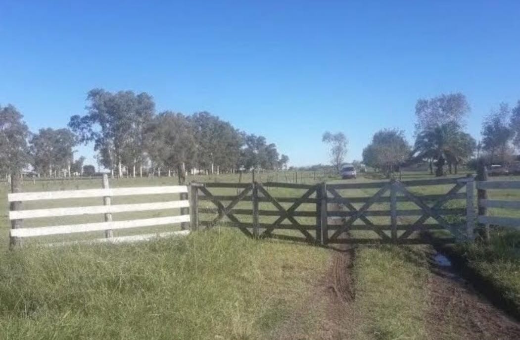 Campo en San Vicente 6 has