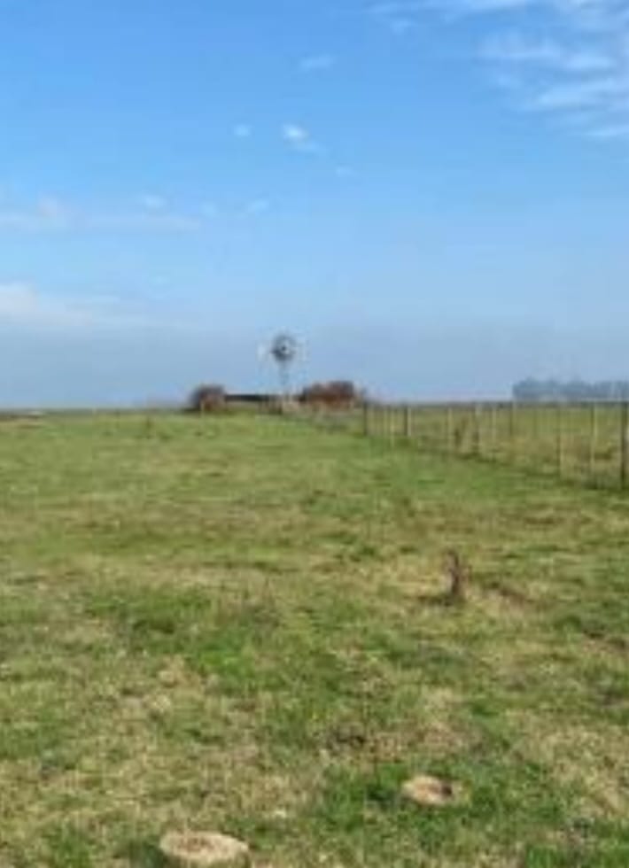 ESTANCIAS LA TORCAZ Y LA GORLESE