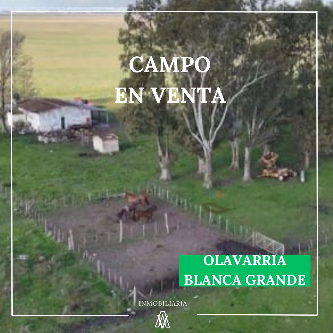 Campo en Olavarria 1361 has