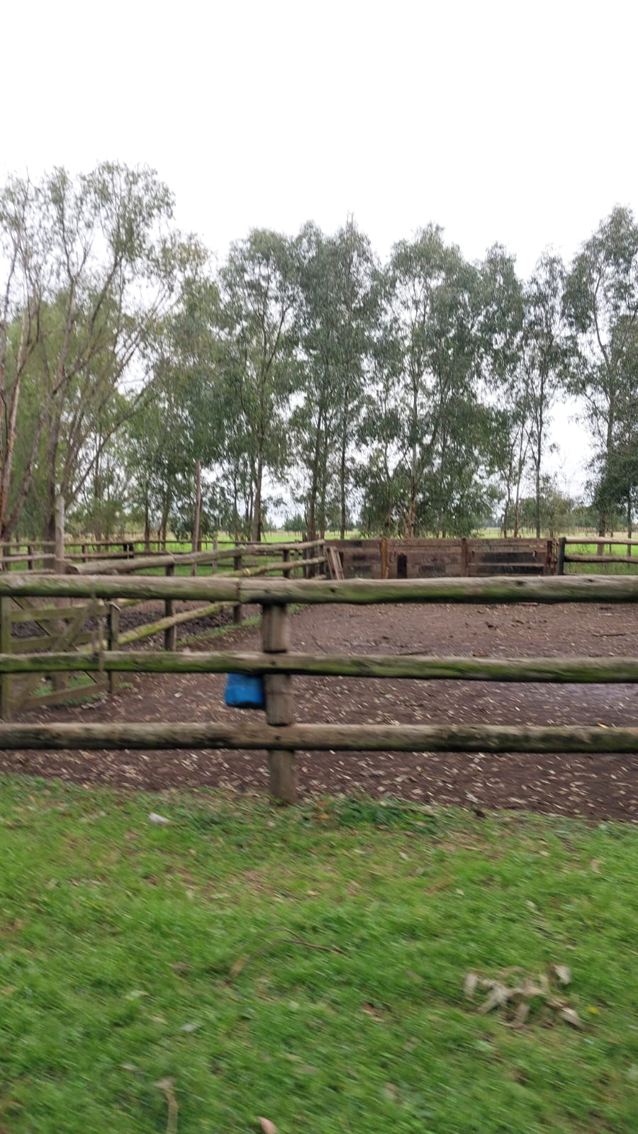 ESTANCIA CANNING/LA MACARENA