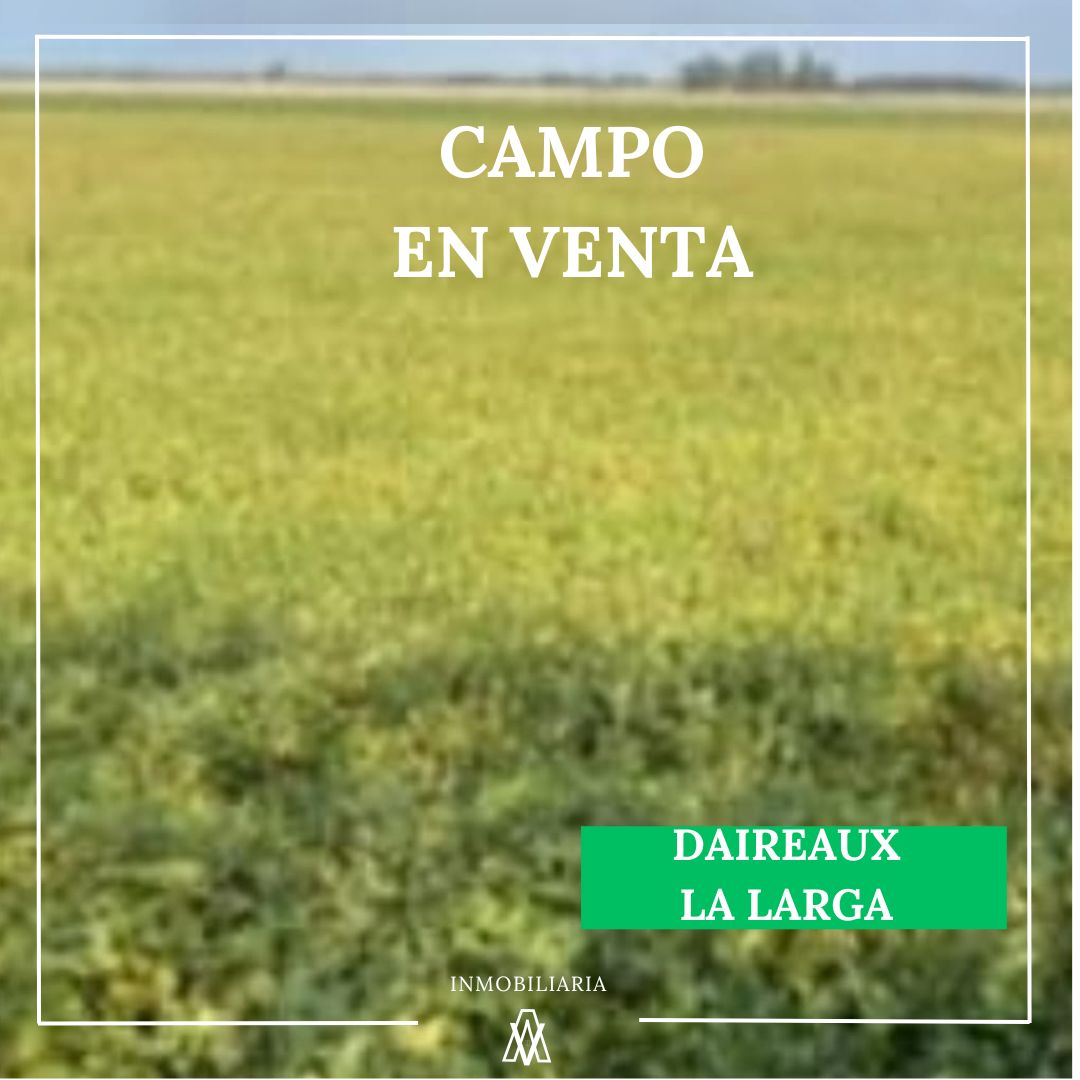 Campo en Daireaux 120 has