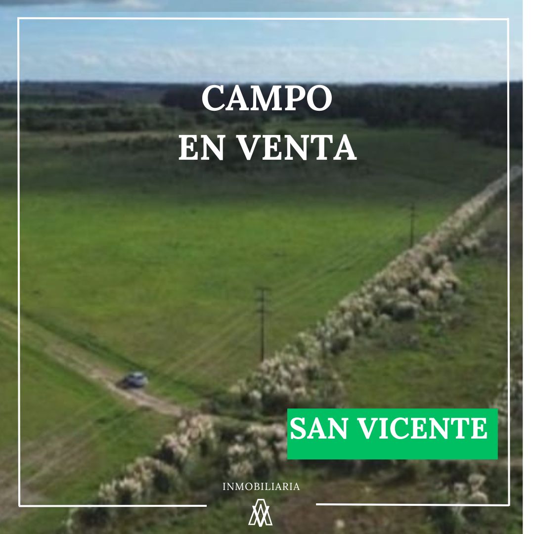 Campo en San Vicente 392 has